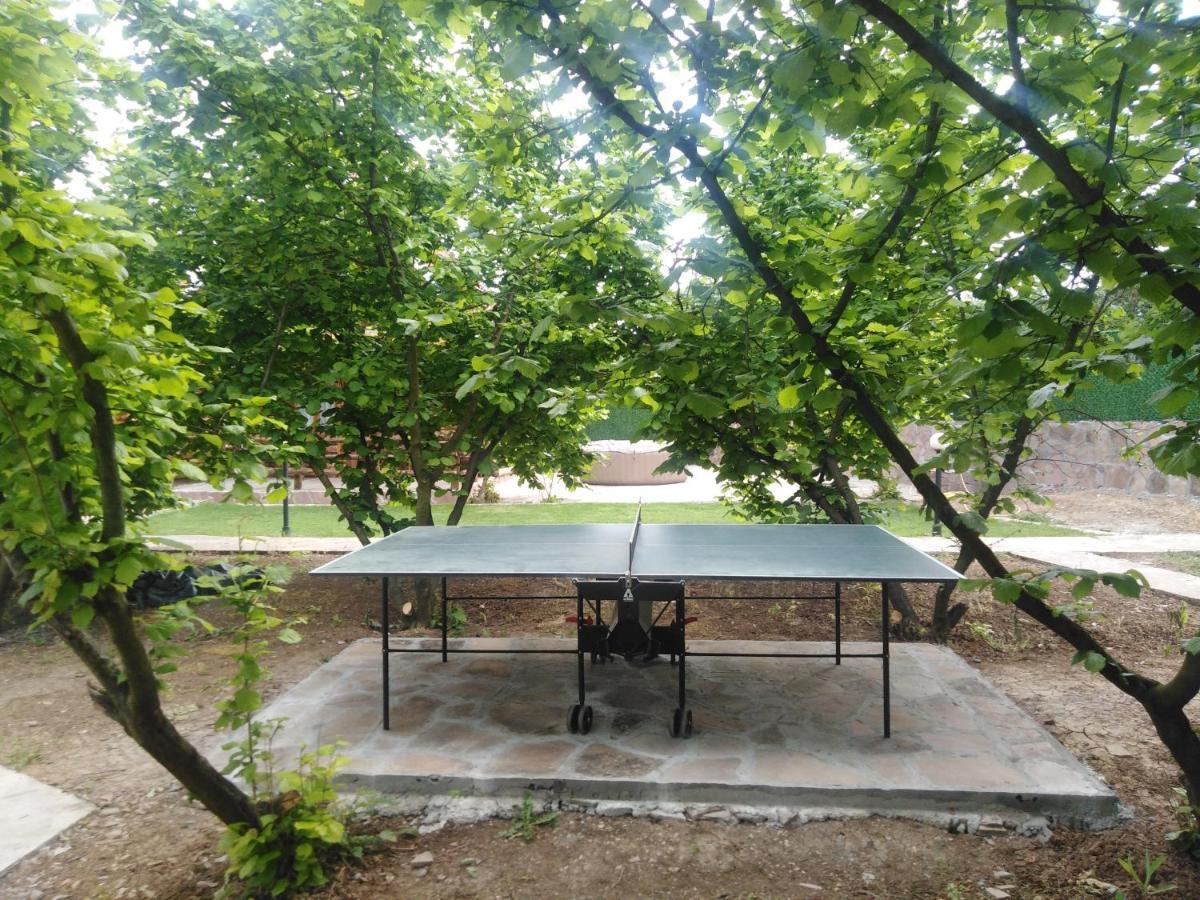 Vila Viktori Pirot Exterior foto